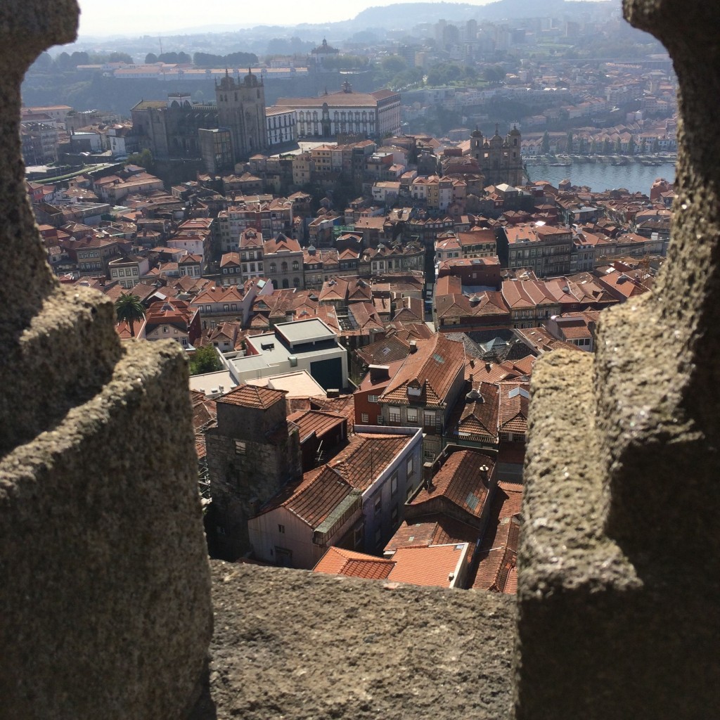 O casario, a Sé, o rio Douro e, na outra margem, a Serra do Pilar vistos do zimbório da Torre dos Clérigos no Porto