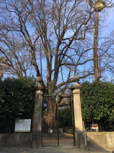 Entrada Parque da Quinta do Conde das Devesas Gaia
