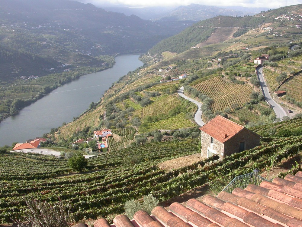 Traditional Portuguese tile rooftops and Douro terraced vineyards landscape 