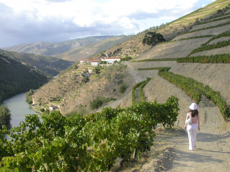 Vera Dantas walking in the Douro Vineyards