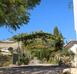 Quinta Do Bomfim Acesso Estate