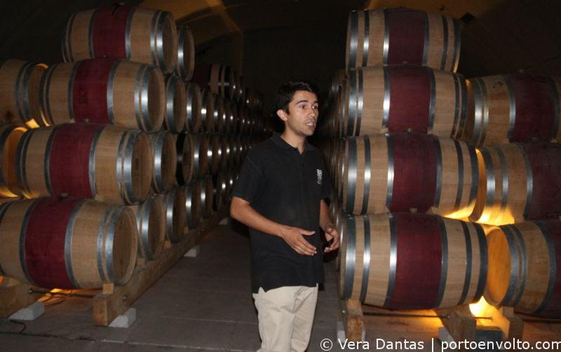 Viagem às Vindimas no Douro - Envelhecimento do vinho em barricas
